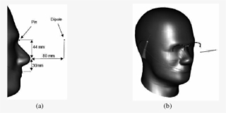 Diagram Of Pin And Dipole Location In Parametric Study - Diagram