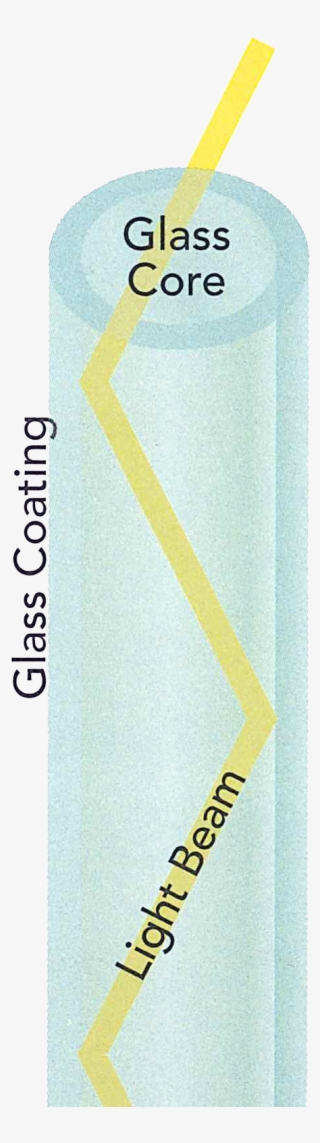 Imaging Trying To Swallow A Rigid Tube Filled With - Parallel