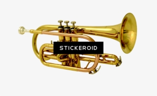 Brass Band Instrument - Cornet