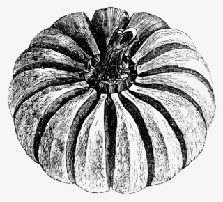 Comté Cheese, Guacamole, Watercress And Jalapeños Mayonnaise - Vintage Tag Pumpkin Seed