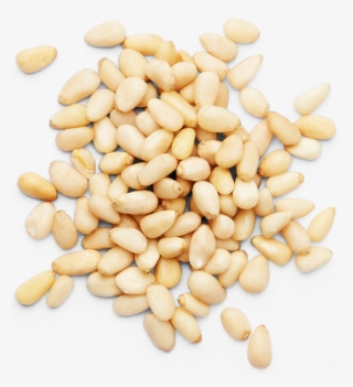 Pine Nuts Png Clip Freeuse Stock - Kidney Beans
