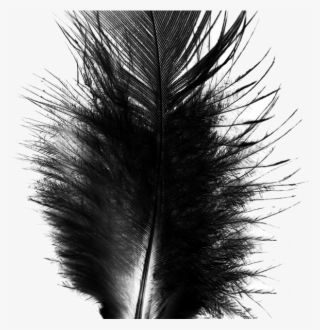 Photo Taken At Black Feather By Black Feather On 3/3/2017 - Adobe Photoshop