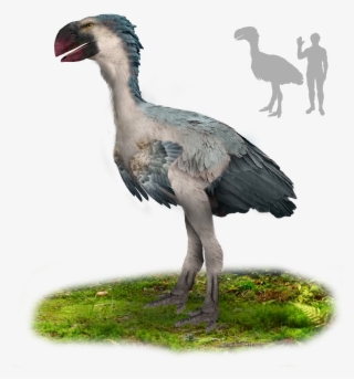 File - Gastornis - Gastornis Bird