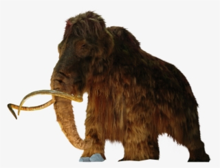Mammoth - Woolly Mammoth