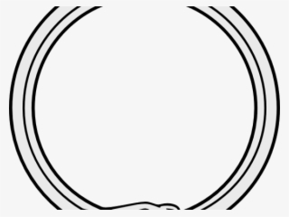 Drawn Serpent Snake Png - Full Metal Alchemist Circulo