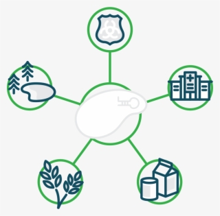 The Mammoth Solution