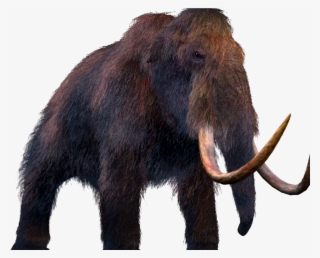 This Is A Mammoth Should We Bring Extinct Animals Back - Drawing Of Dinosaur Elephant
