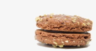 Chocolate Hazelnut Crunch - Macaroon