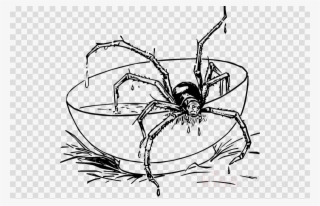 Download Tarantula Spider Coloring Pages Clipart Spider - Fall Spider Coloring Pages