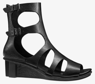 Shoe