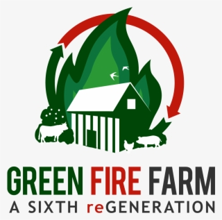 Color - Last Ottoman Generation And The Making