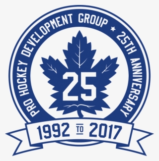 Hnn Maple Leafs Toronto Mugs