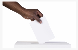 Vote - Plywood