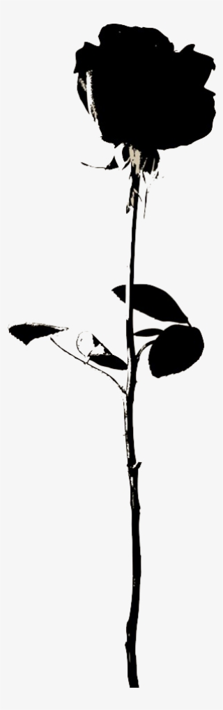 Rose Flower Icon - [세트] 위험한 남자 (전2권/완결)