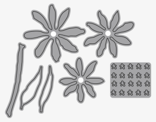 Shasta Daisy Garden Notes - Illustration