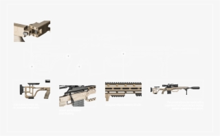 Configuration - - Firearm