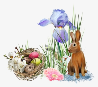 Tube Pâques, Lapin, Nid, Cluster Png - Easter