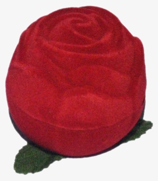 Red Ring Case - Online Shopping