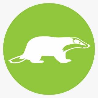 Ecology - Neo Environmental Ltd
