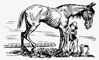 Mule Horse Pony The Adventures Of Pinocchio Foal - Caballo Rocin