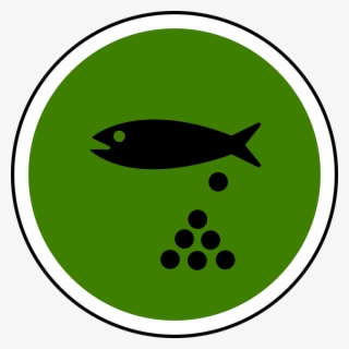 Fish, Pond, Water, Spawning, Nature, Fishing, Koi, - Pond Fish Logo