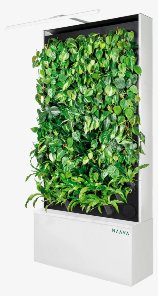 Naava One White Oblique - Naava Green Wall
