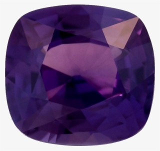 Violet Sapphire In Real Life - Wiki