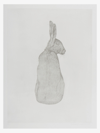 Valerie-hammond Hare - Sketch