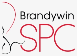 Golden Retriever Found In Phoenixville - Bridge Pointe Apartment Homes