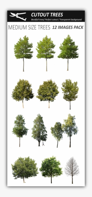 12 Medium Size Trees Pack - Architecture