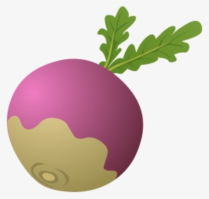 Beet Clipart Turnip - Turnip Clipart