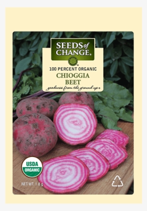Organic Chioggia Beet Seeds