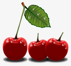 Cherry Clipart Black And White Free Clipart Image 2 - Cherry Png Clip Art