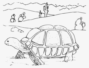 Coloring Book Desert Tortoise Svg Clip Arts 600 X 458