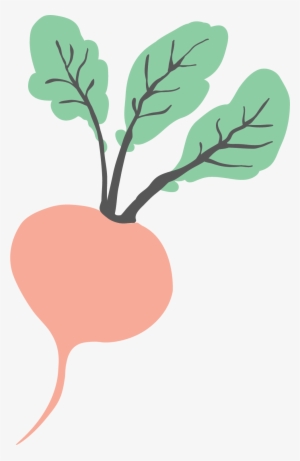 Beet