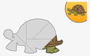 Tortoise - Animales De Galapagos En Dibujos Animados