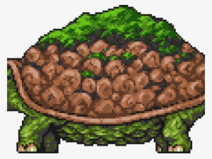 Terraria Tortoise