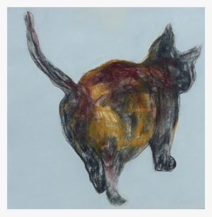 Little Kitten Drawing - Drawing