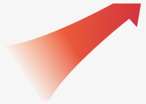 The Top 5 Things That Will Significantly Improve Your - Productivity