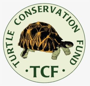 The Turtle Conservation Coalition - Turtle Conservation Fund Logo