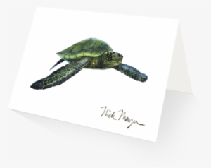 Green Sea Turtle