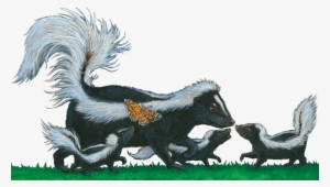 Order Your Copy Of "is That A Skunk" Now At - Children's Literature