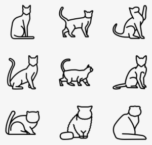 Cat Breed Bodies - Cat Icon Vector