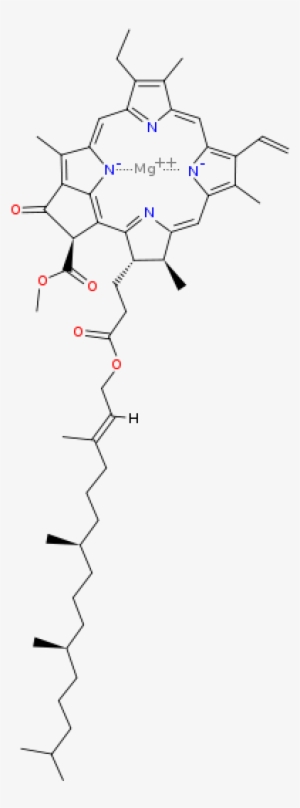 Chlorophyll Pickup In Extractions - Structure Of Chlorophyll B