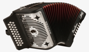 Accordion Small Black Hohner - Hohner 3100gb Panther Accordion