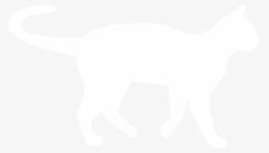 Soft-coated Wheaten Terrier