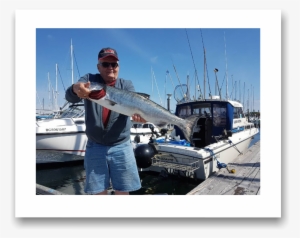 Photos Of Spring Tyee Salmon Coho Salmon Sockeye Salmon - British Columbia