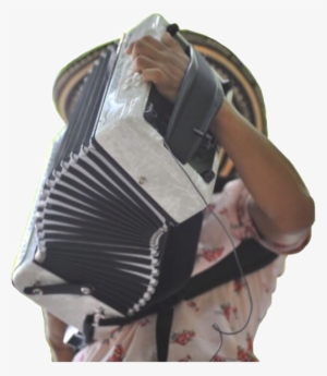 Acordeonista Acordeon Festival Colombia Honer Vallenato - Accordion