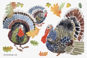 Turkey Bird Png Transparent Image - Domesticated Turkey