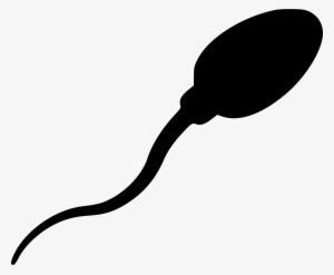 Png File Svg - Sperm Vector